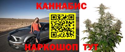твердый Новодвинск