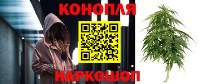 твердый Новодвинск