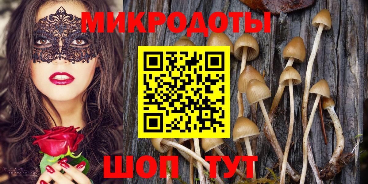 Галлюциногенные грибы прущие грибы Усть-Илимск